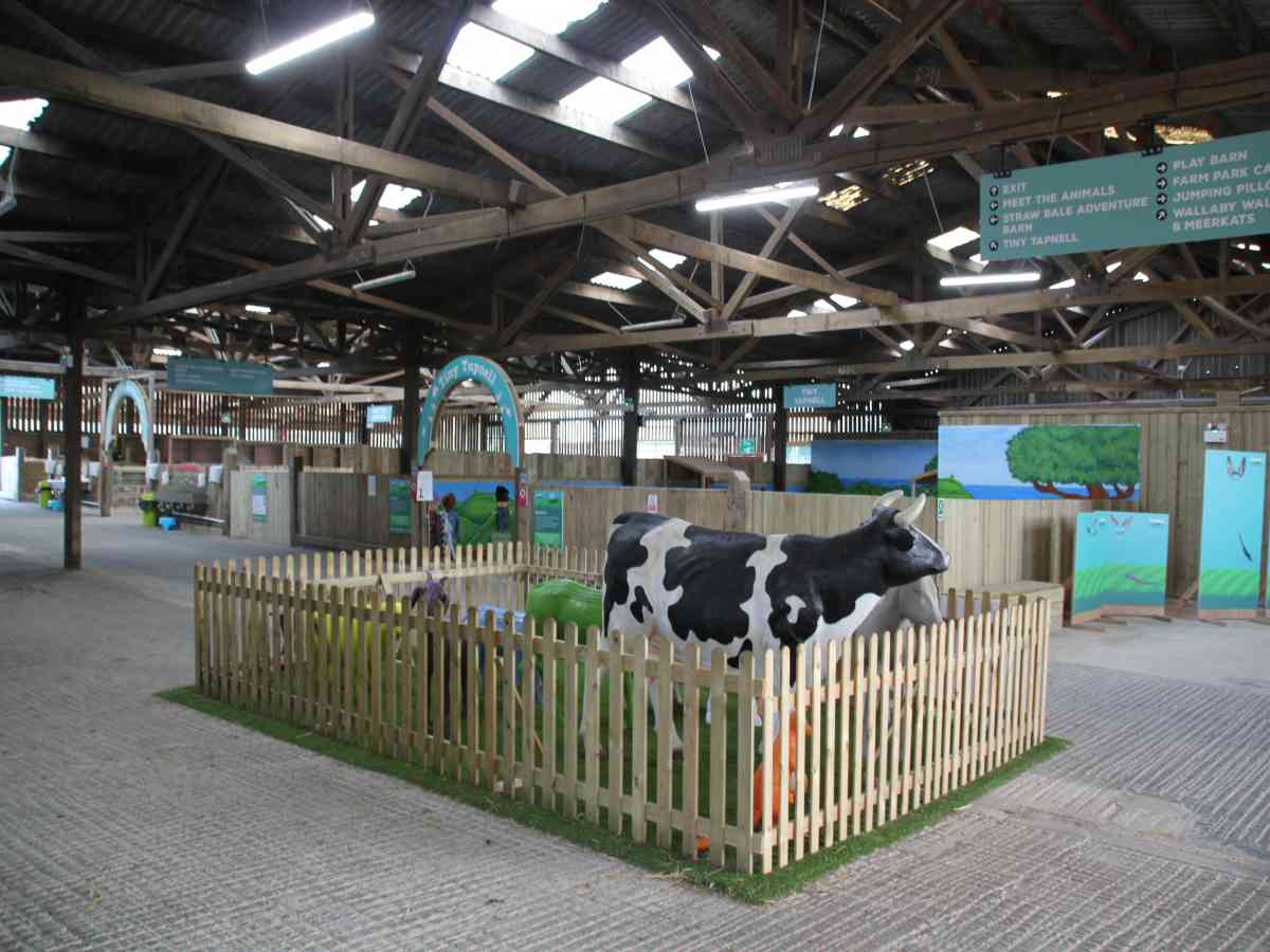 Tapnell Farm Park picture gallery
